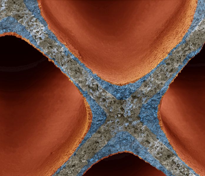 Der Dreiwegekatalysator von BASF wandelt mehr als 99% der schädlichen Abgase aus Benzinmotoren in CO2, Stickstoff und Wasser um. Möglich wird dies durch Edelmetallpartikel, die schichtweise auf ein wabenartiges Keramik-Substrat aufgebracht werden. Damit erfüllt der Katalysator strenge Abgasnormen wie Euro 6. Vergrößerung 120:1 (bei 15 cm Bildbreite). (Bild: BASF)