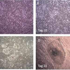 (Bild: Merck Millipore)