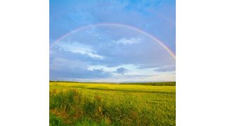 B2B Communities sind bisher weniger von Hasskommentaren betroffen als B2C. Aber nicht immun. Die Zeit, sich vorzubereiten, ist jetzt. (Bild: Unsplash)