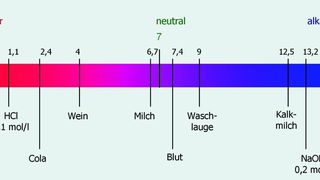 1 Die pH-Skala mit einigen Beispiel-Substanzen. (Bilder: SI Analytics) (Archiv: Vogel Business Media)