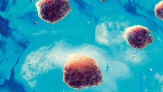 neu (Mettler-Toledo GmbH)