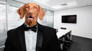 Intensiver Wettbewerb, Kräftemessen, Herdentrieb und das Recht des Stärkeren – im Management vieler Unternehmen und allgemein in der Wirtschaftswelt geht es ganz schön tierisch zu. (Bild: gemeinfrei © moonzigg)