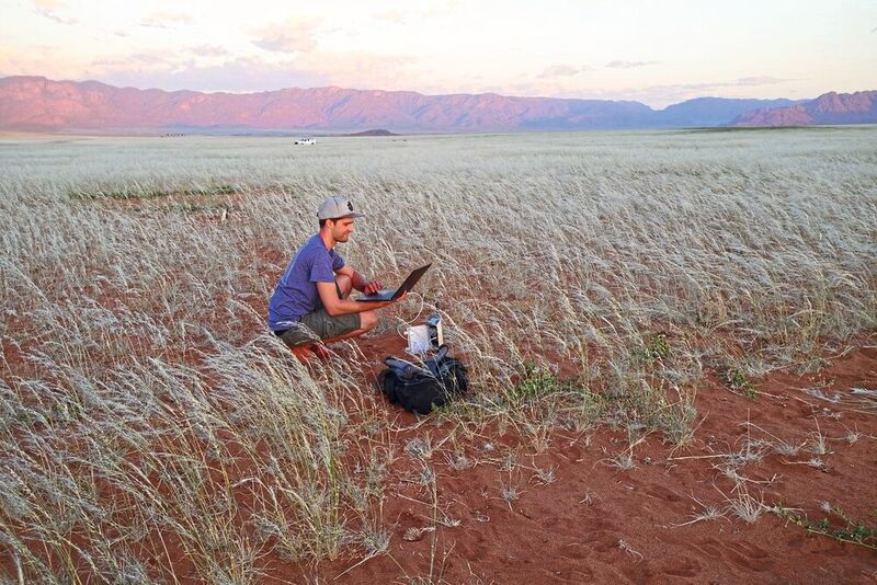 Koautor Sönke Holch beim Herunterladen der Daten von einem Datenlogger in der Namib im Februar 2021, als die Gräser ihre größte Biomasse erreichten.