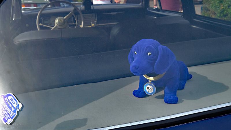 Der Wackeldackel passend zur Wagenfarbe im Peugeot 403 (Bild: Zietz – VCG)