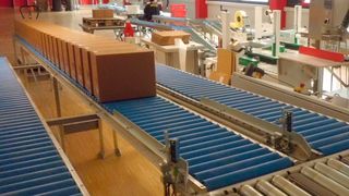 Die Förderanlage von AMI wird im Bereich der Abfüllung mit Endverpackung und beim sortenreinen Palettieren genutzt. (Bild: AMI)