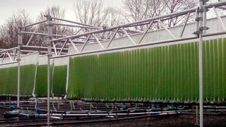 In der Kläranlage Rotenburg haben die Projektpartner Alugestänge installiert, an denen die Beutel mit den Mikroalgen befestigt sind. (TH Mittelhessen)