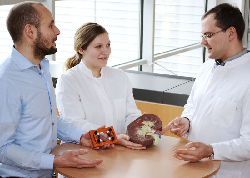 Florian Schmieder, Deborah Förster und Jan Sradnick (v. l.) entwickeln gemeinsam ein mikrophysiologisches Modell der Niere. Damit schaffen sie die Grundlage für künstlichen Nierenersatz aus patienteneigenen Zellen. (Fraunhofer IWS Dresden)