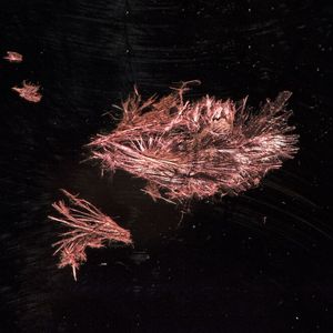 (Andreas Battenberg / TU München)