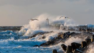 Xxxxxxx (Bild: Michael - stock.adobe.com)