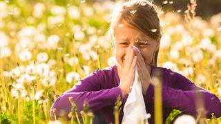 Frühjahrszeit ist Pollenzeit - doch die Erforschung von Allergien läuft das ganze Jahr über. (©Kzenon - stock.adobe.com)