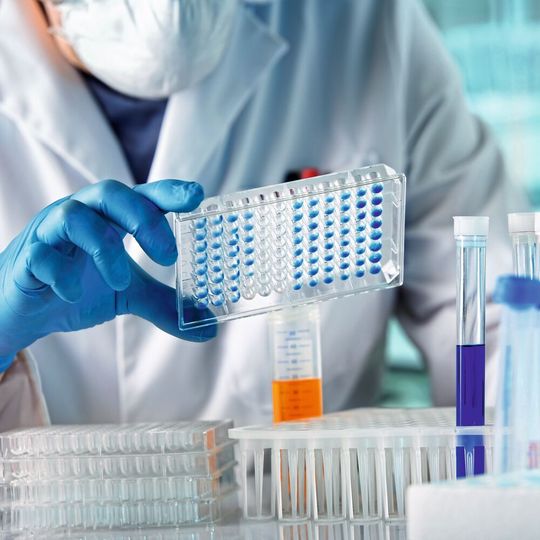 Ein Ergebnis des aktuellen EY-Biotechreport: der Sondereffekt durch Corona ist vorbei (Symbolbild). Ein Ergebnis des aktuellen EY-Biotechreport: der Sondereffekt durch Corona ist vorbei (Symbolbild).