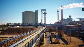 Alle zwei Sekunden verarbeitet Südzucker in Rain am Lech die Rüben für den durchschnittlichen Jahresbedarf eines Deutschen. (Bild: Welotec)