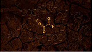 A new hypothesis states that the first sugars emerged from glyoxylate (pictured as the center molecule). In this hypothesis, glyoxylate first reacts with itself and then the byproducts from these reactions, ultimately forming simple sugars and other products (pictured as the surrounding molecules). (Source: Scripps Research and Unsplash)