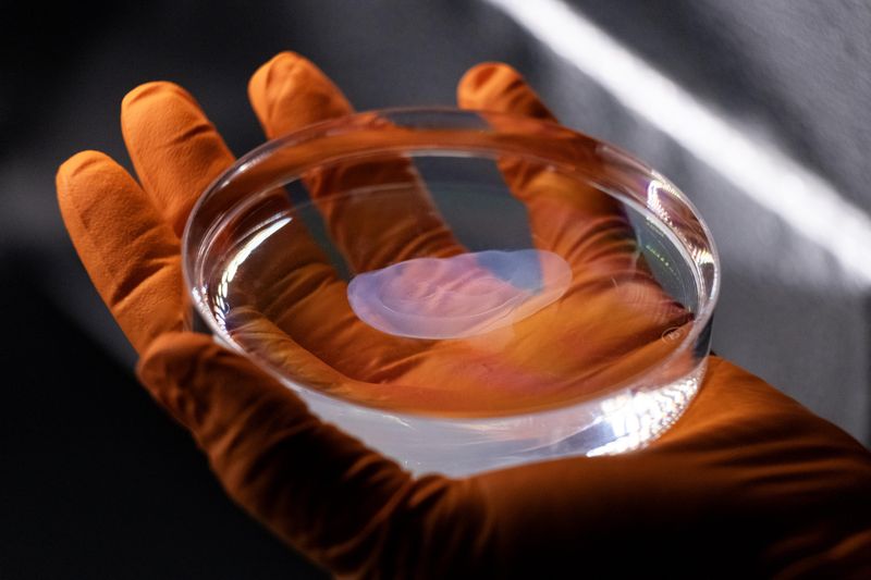 Modell eines menschlichen Ohrs, gedruckt in einem Gelatine-basierten Harz.  (Bild: LAPD EPFL)
