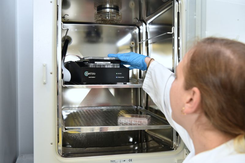 Im Inkubator können die Organoide unter kontrollierten Bedingungen wachsen und sich entwickeln.  (Bild: Bergmannsheil)