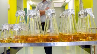 Gustav Oberdorfer forscht seit Februar 2018 am Institut für Biochemie der TU Graz an nachhaltigen Substanzen, um LEDs zu beschichten. (Helmut Lunghammer / TU Graz)