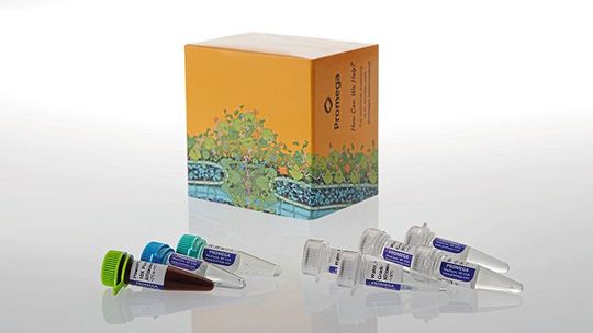 Das Powerplex 18E System ist ein neues DNA-Analyse-Kit für die forensische Spurenanalytik.(Bild:  Promega)