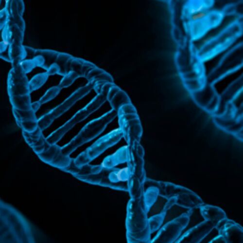 The team identified more than 1,200 associated genetic variants and found that these influences are remarkably consistent across countries, ages and methods of measuring personality. (Source:  Pixabay - PublicDomainPictures)