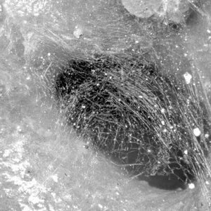 (TU Bergakademie Freiberg, SFB 920)