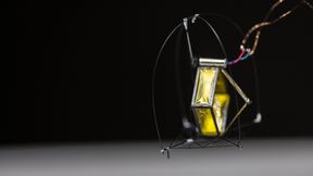 Federleicht, aber ohne Federn: Der nur ein Gramm schwere Roboter der University of Washington nutzt einen bionischen Direktantrieb, um sich zentimetergenau in die Luft zu katapultieren. (Bild: Mark Stone/University of Washington)