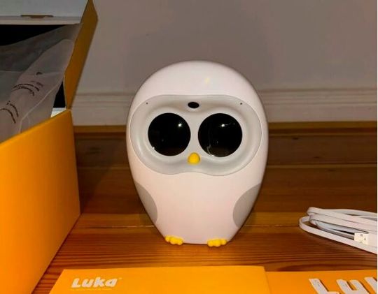 Das ist Luka! Es ist ein Vorleseroboter für Vorschulkinder, die so schneller das Lesen lernen sollen. Ein mehrjähriges Experiment in Kanada hat jetzt außerdem gezeigt, dass so ein smartes Spielzeug schnell zum Familienmitglied werden kann ...(Bild:  Chosewill)