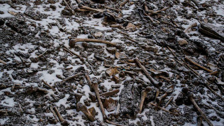 Skeletal remains are mysteriously scattered on the shores of Roopkund Lake, in the Himalayas. (Himadri Sinha Roy)