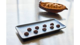 Food Brewer produziert Schokolade aus einzelnen Zellen der natürlichen Kakaobohne. Dazwischen liegt ein Prozess, der dem Bierbrauen ähnelt.
 (Bild: Endress+Hauser )