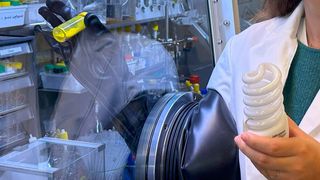 Forschern der ETH Zürich ist es mithilfe spezieller Substanzen gelungen, aus ausgedienten Leuchtstofflampen das seltene Element Europium (gelbes Pulver in der rechten Hand) zu gewinnen. Das Verfahren ist außerdem umweltfreundlich, relativ einfach und ergiebig, heißt es. (Bild: ETH Zürich)