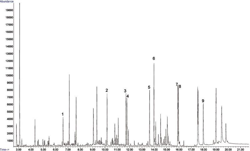 5	 Extrakt einer Shrimps-Probe (3 g), versetzt mit einer Mischung (2,5 ppb) von Naphthalin (1), Fluoren (2), Phenanthren (3), Anthracen (4), Fluoranthen (5), Pyren (6), Benz[a]anthracen (7), Chrysen (8) und Benzo[a]pyren (9). (Archiv: Vogel Business Media)