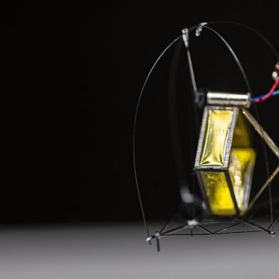 Federleicht, aber ohne Federn: Der nur ein Gramm schwere Roboter der University of Washington nutzt einen bionischen Direktantrieb, um sich zentimetergenau in die Luft zu katapultieren. (Bild: Mark Stone/University of Washington)