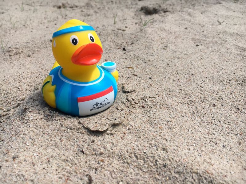 Auch unsere dbc-Laufente ist immer dabei. (Bild: Capelletti & Perl)