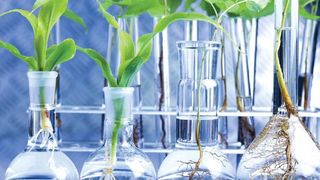 The ´green´side of chemistry on the growth path.  (Picture: Shutterstock)