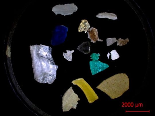 Microplastic samples collected from the oceans. Plastic fragments less than 5 mm in length are categorized as microplastics. The scale bar shows a length of 2,000 µm or 2 mm. Microplastic samples collected from the oceans. Plastic fragments less than 5 mm in length are categorized as microplastics. The scale bar shows a length of 2,000 µm or 2 mm.