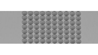 Sphärischer Mikrolinsen-Array (Bild: Multiphoton Optics)