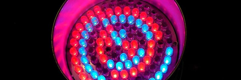 Wissenschaftler können die Farbe einer LED präzise über die Größe von Halbleiter-Kristallen definieren. (Bild:   / CC0)