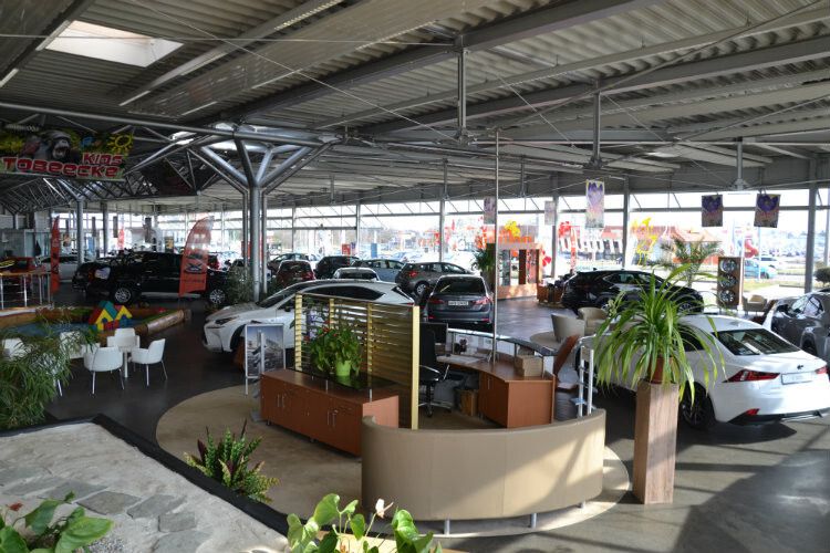 Der Schauraum ist freundlich gestaltet, mit vielen Pflanzen, einem Bistro und einer weitläufigen Kinderecke. (Foto: Mauritz)