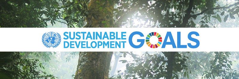 U.a. das Hasso-Plattner-Institut unterstützt die Sustainable Development Goals der UN und setzt sich mit seiner Clean-IT-Initiative für eine nachhaltige Begleitung der digitalen Transformation ein. (Bild:  gemeinfrei© Stokpic /  Pixabay)