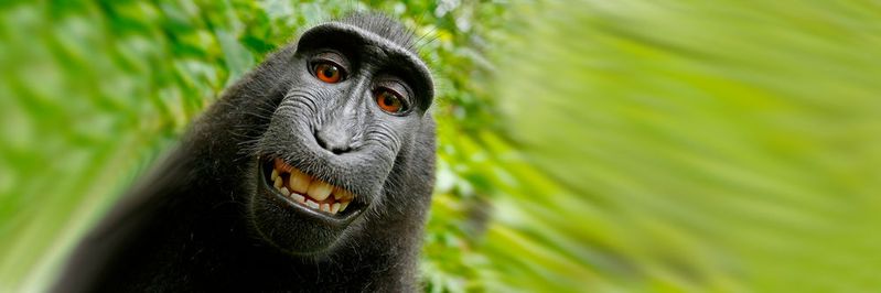 Zahlreiche Gadgets helfen, um das perfekten Selfie zu schießen – wie die fliegende Selfie-Kamera AirSelfie.(Bild:  Pixabay)