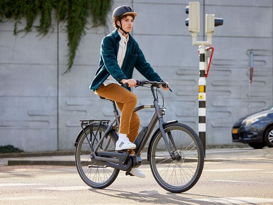 Neben einer Tiefeinsteiger-Version bietet Gazelle das Pedelec auch mit Diamantrahmen an – zum Vergrößern bitte klicken.(Bild:  Gazelle)