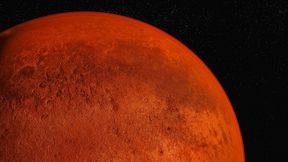 Heute wirkt der rote Planet trocken und staubig. Doch ein Blick in ein Stück Marsmeteorit zeigt: Wasser prägte die Kruste des Planeten schon sehr früh. (Bild: © rtype – stock.adobe.com)