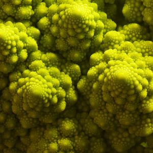 (Jan-Peter Kasper/FSU)