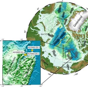 Karte des arktischen Ozeans mit Untersuchungsgebiet.