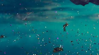 Mikroplastik ist heute in den entlegensten Winkeln unserer Erde zu finden. Über die Nahrungskette gelangt es auch wieder auf unseren Tellern (Symbolbild) (Bild: ©dottedyeti - stock.adobe.com)