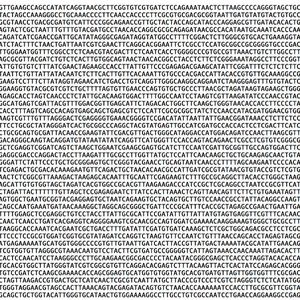 Der „genetische Code von Mezzanine“. Der Ausschnitt entspricht einem 27.000-stel der Information des ganzen Musikalbums.