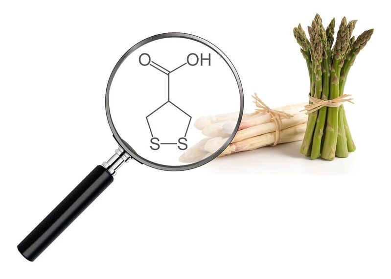 Abb. 1: Spargel enthält Asparagusinsäure, die im Körper zu geruchsintensiven Schwefelverbindungen umgesetzt wird.