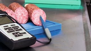 Abb. 1: Praktisches Instrument für die Fleischverarbeitung – pH-Einstichelektrode mit Temperatur-Fühler (Bild: SI Analytics)