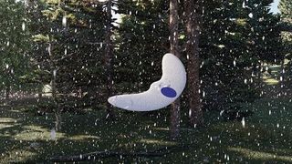 Bio-Gleiter nach dem Vorbild der Java-Gurke könnten bald helfen, den Zustand von Ökosystemen zu überwachen, etwa im Wald. (Bild: Empa)