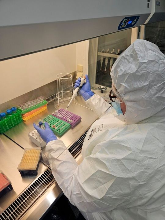 Labortechnikerin und eine der Autoren im kontaminationskontrollierten Alten DNA Labor an der University of Tartu bei der Extraktion von winzigen Mengen DNA aus jahrhundertealten Skeletten.(Bild:  University of Tartu Institute of Genomics Ancient DNA Laboratory)