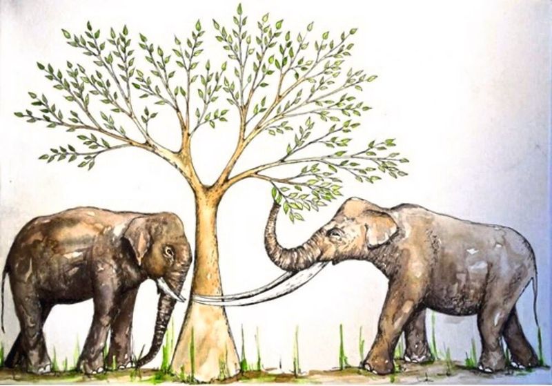 Die beiden untersuchten Rüsseltiere: Asiatischer Elefant (links) und Stegodon (rechts) (Nicola Heath)