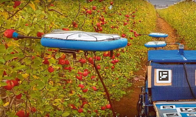 Mit einem Greifarm pflückt der FAR Äpfel. (Tevel Aerobotics )